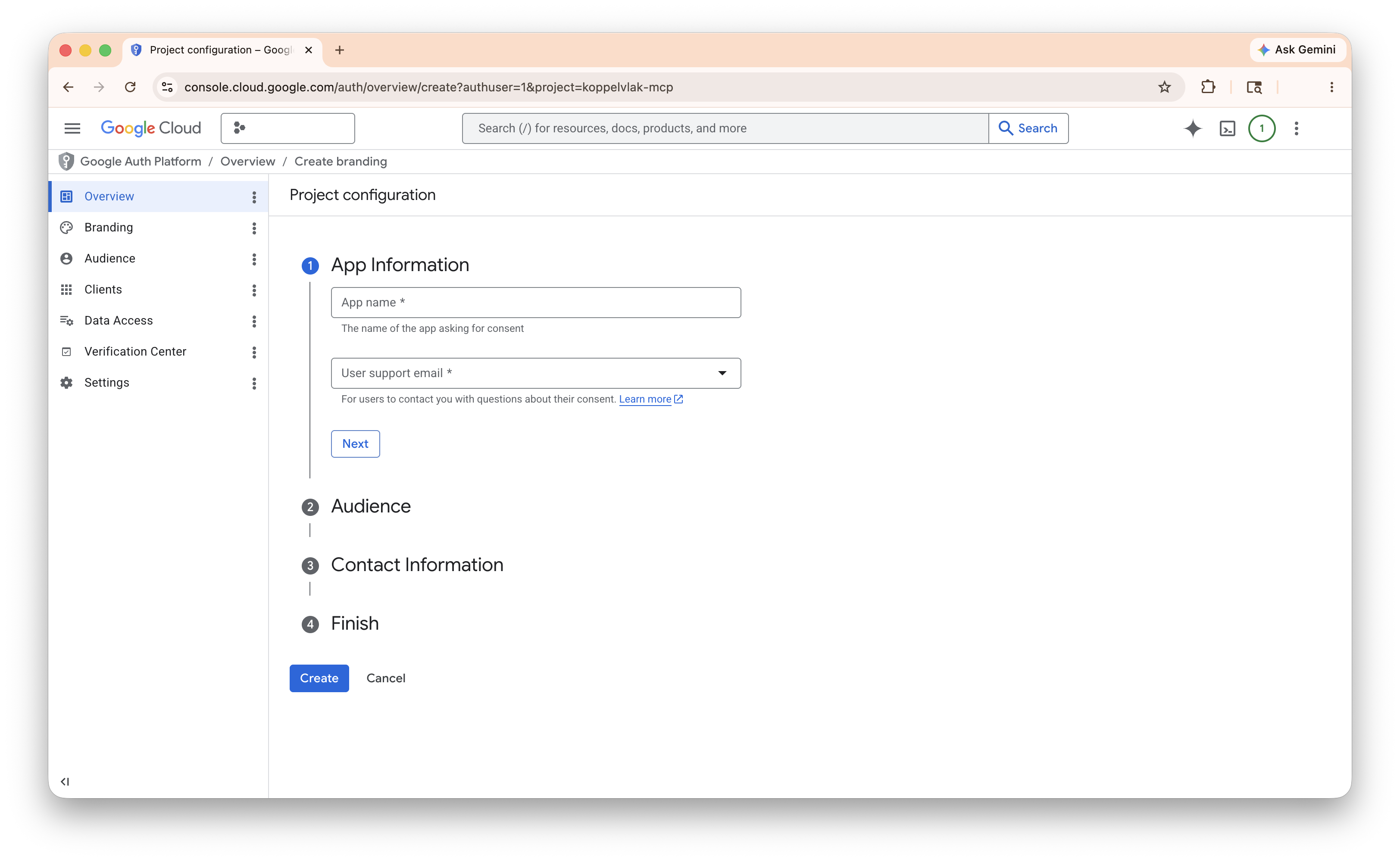 OAuth consent screen with app name and user support email fields